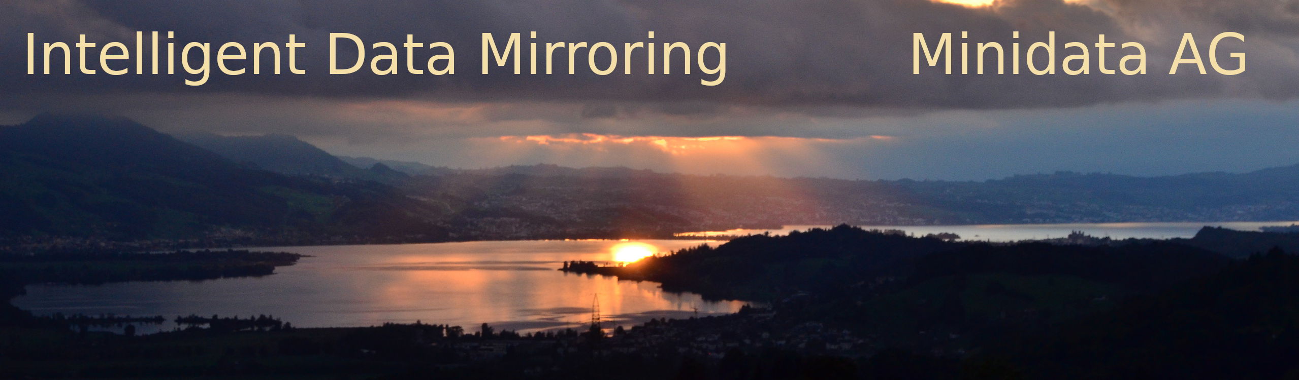 Intelligen Data Miroring